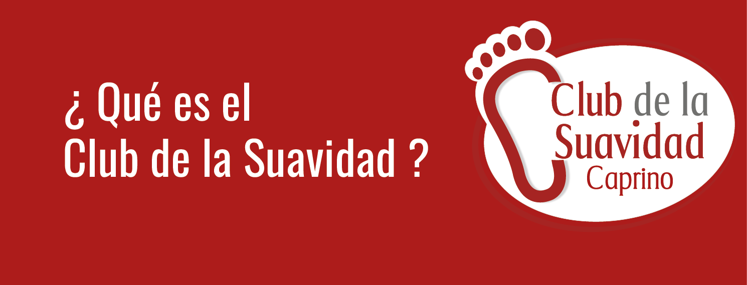 https://dev.calzadocaprino.com/file/noticia/Â¿QuÃ© es el Club?